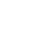 SEMINUEVOS EJECUTIVOS